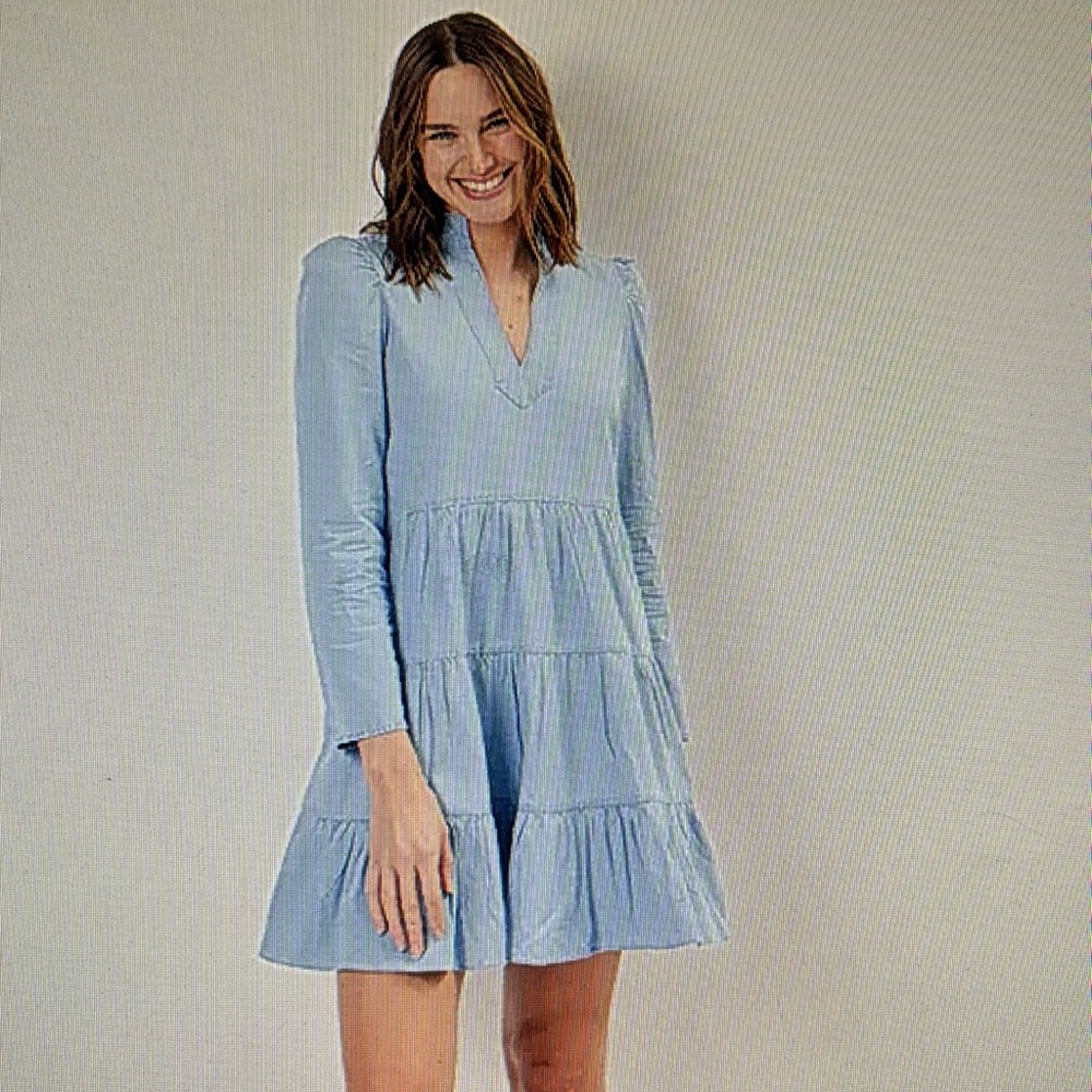 COPY - NWT Sail to Sable Flare Tunic Dress in Light Blue Chambray